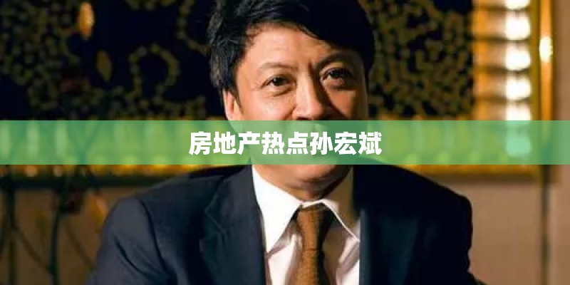 房地产热点孙宏斌