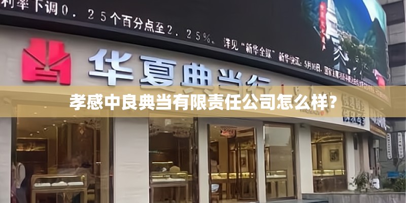 孝感中良典当有限责任公司怎么样？