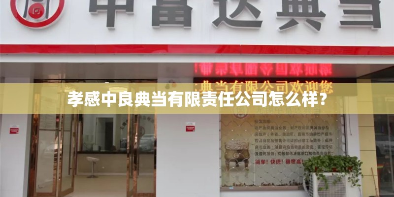孝感中良典当有限责任公司怎么样？