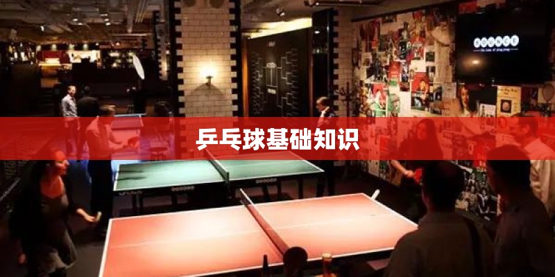 乒乓球基础知识