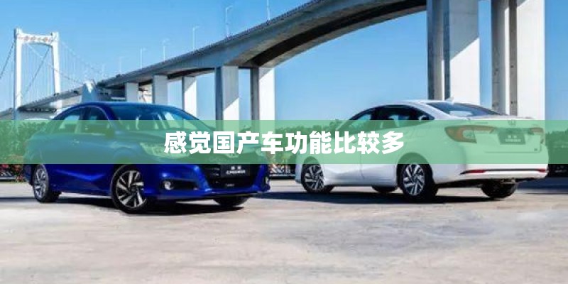 感觉国产车功能比较多 感觉国产车功能比较多