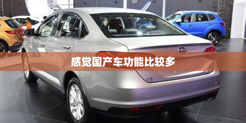 感觉国产车功能比较多 感觉国产车功能比较多