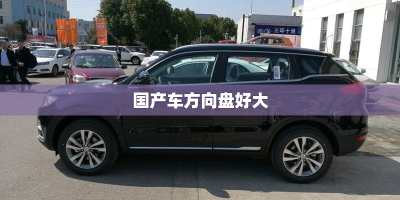 国产车方向盘好大 国产车方向盘好大