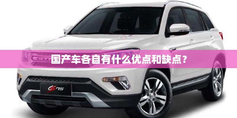 国产车各自有什么优点和缺点? 国产车各自有什么优点和缺点?