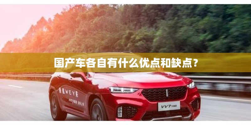 国产车各自有什么优点和缺点? 国产车各自有什么优点和缺点?