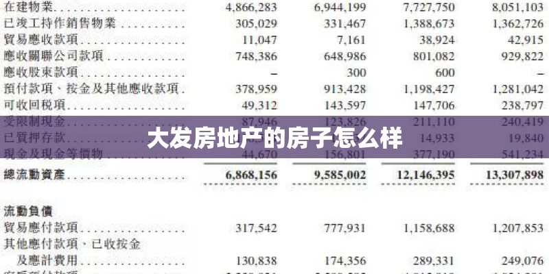 大发房地产的房子怎么样