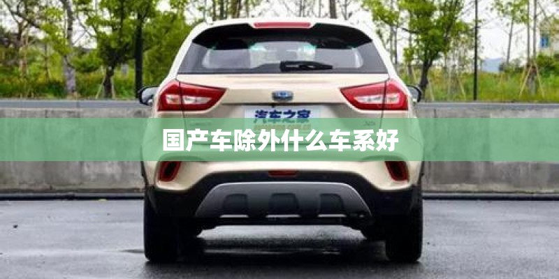 国产车除外什么车系好 国产车除外什么车系好
