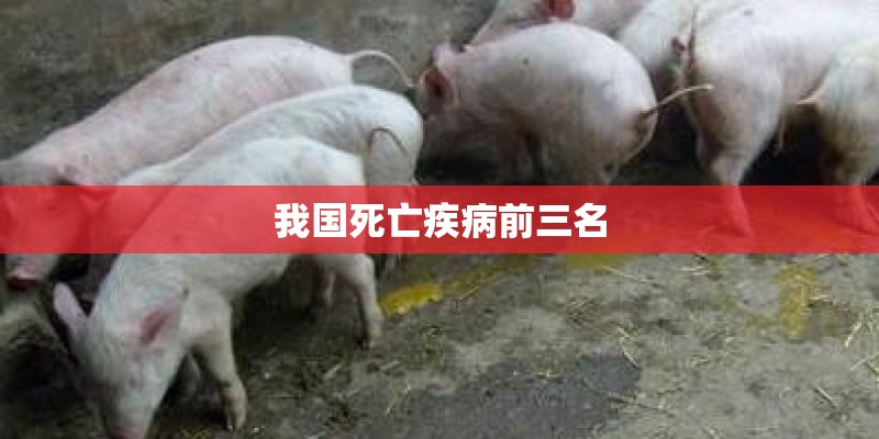 我国死亡疾病前三名