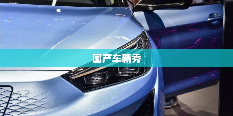 国产车新秀