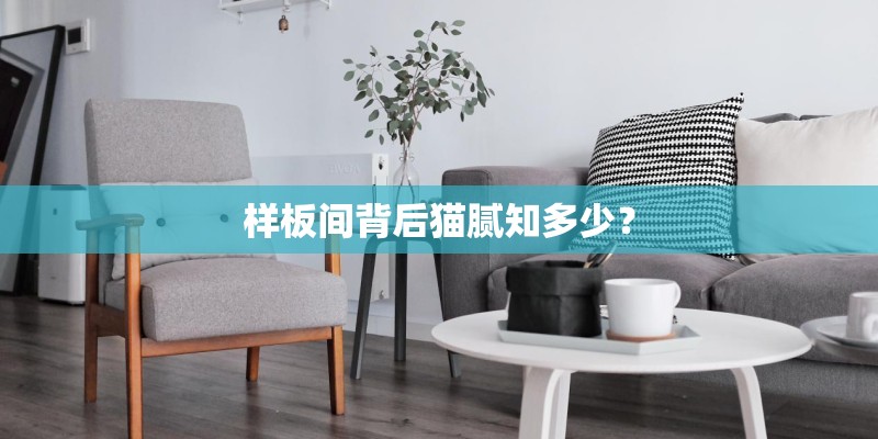 样板间背后猫腻知多少？