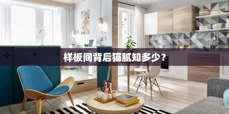 样板间背后猫腻知多少? 样板间背后猫腻知多少?