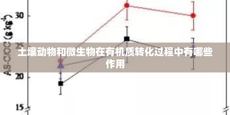 土壤动物和微生物在有机质转化过程中有哪些作用