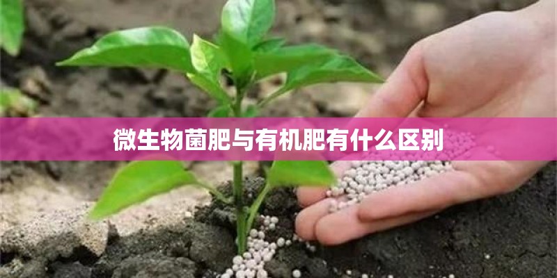 微生物菌肥与有机肥有什么区别 微生物菌肥与有机肥有什么区别