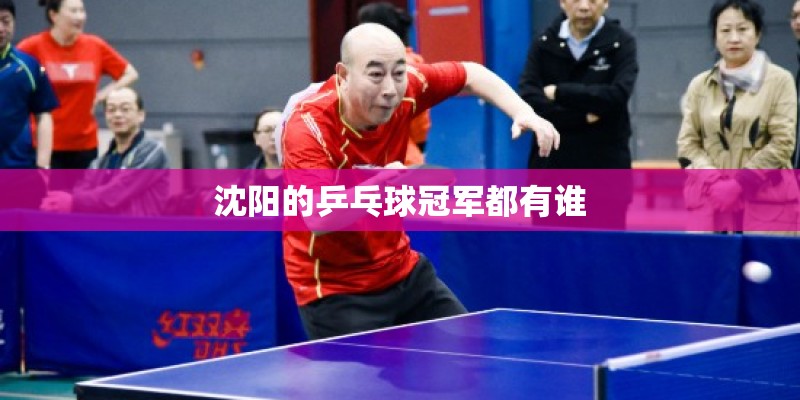 沈阳的乒乓球冠军都有谁 沈阳的乒乓球冠军都有谁