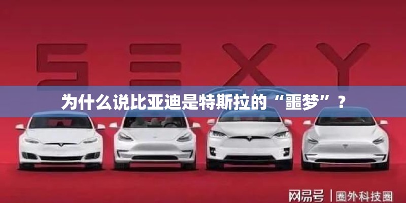 为什么说比亚迪是特斯拉的“噩梦”？