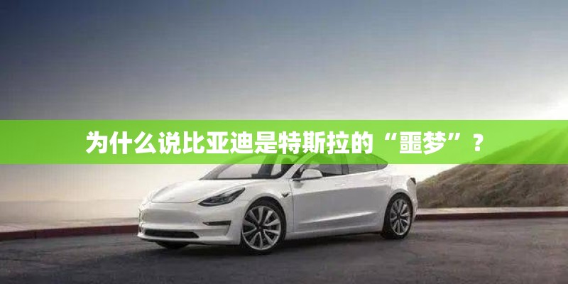 为什么说比亚迪是特斯拉的“噩梦”？