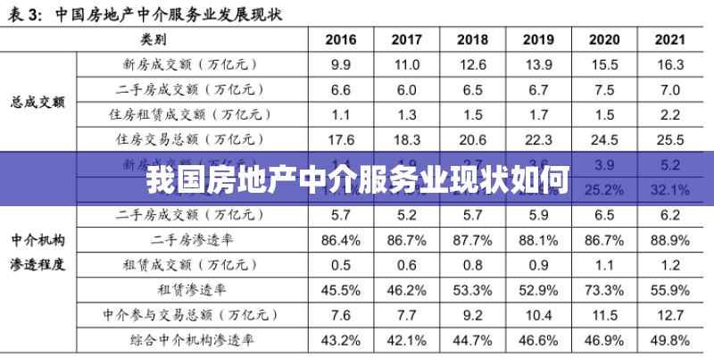 我国房地产中介服务业现状如何