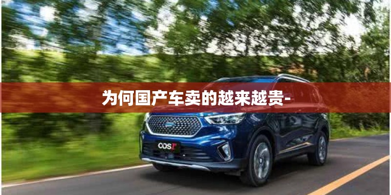 为何国产车卖的越来越贵- 为何国产车卖的越来越贵-