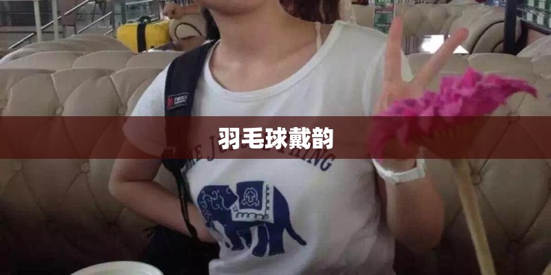羽毛球戴韵