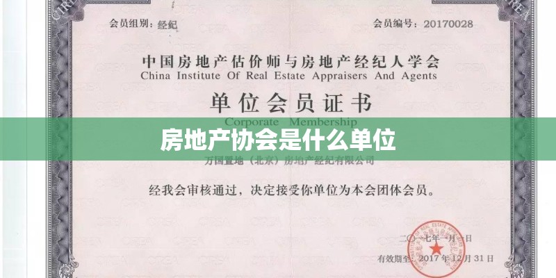房地产协会是什么单位