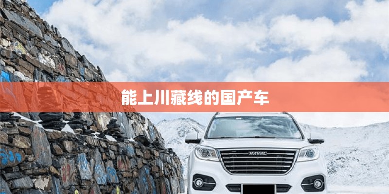 能上川藏线的国产车