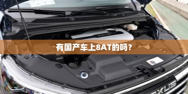 有国产车上8AT的吗？