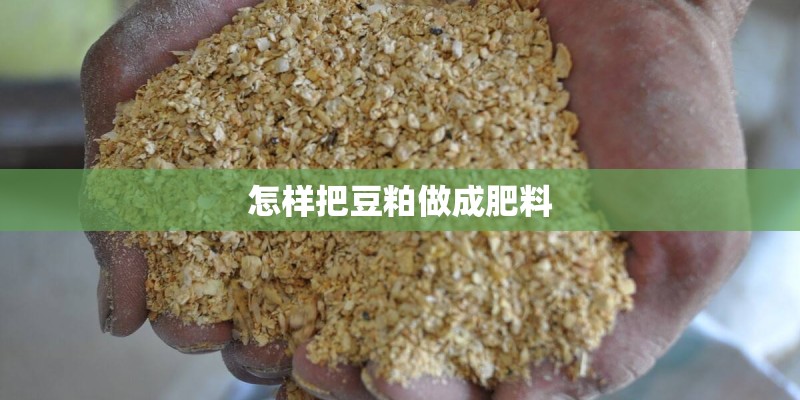 怎样把豆粕做成肥料 怎样把豆粕做成肥料