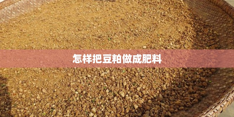 怎样把豆粕做成肥料 怎样把豆粕做成肥料