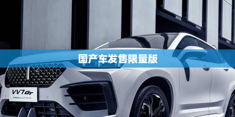 国产车发售限量版