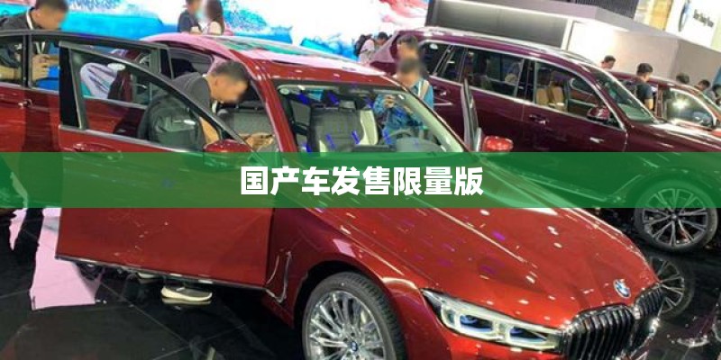 国产车发售限量版