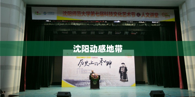 沈阳动感地带 沈阳动感地带