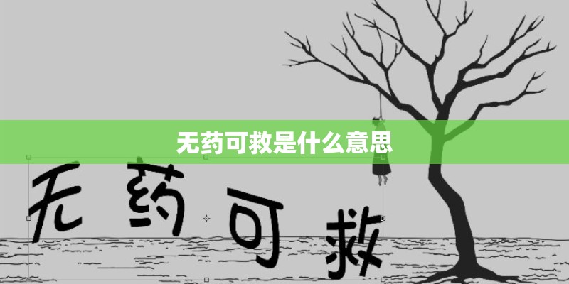无药可救是什么意思