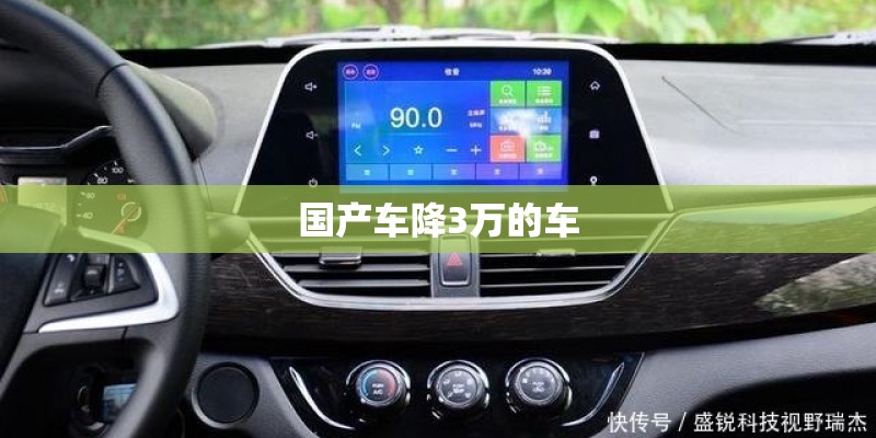国产车降3万的车