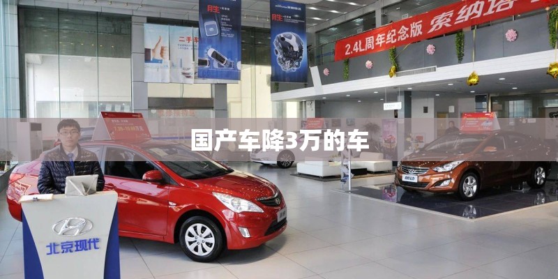 国产车降3万的车