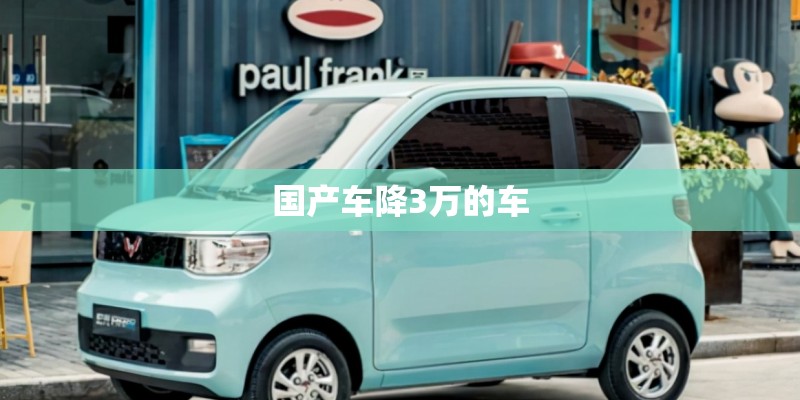 国产车降3万的车