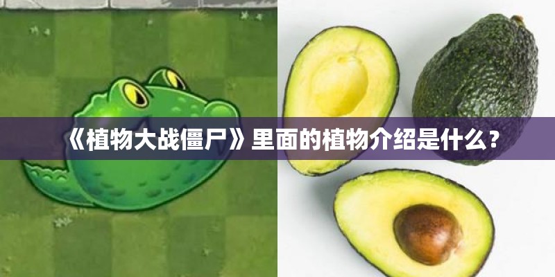 《植物大战僵尸》里面的植物介绍是什么？