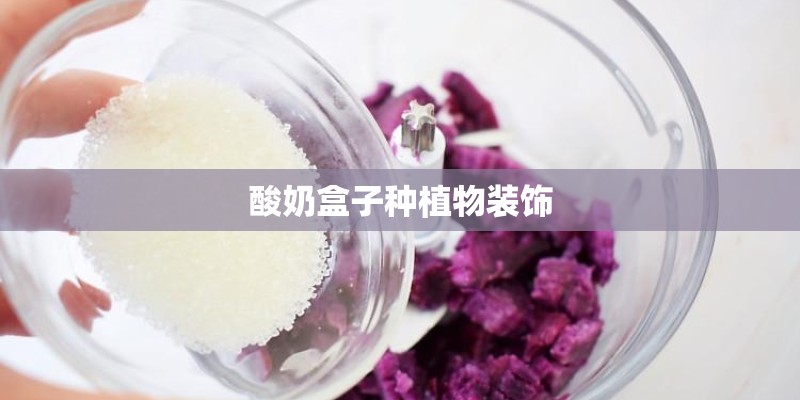 酸奶盒子种植物装饰