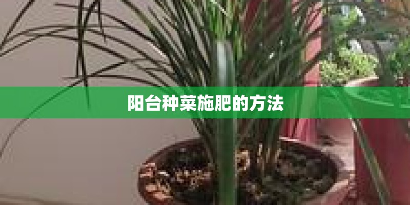 阳台种菜施肥的方法