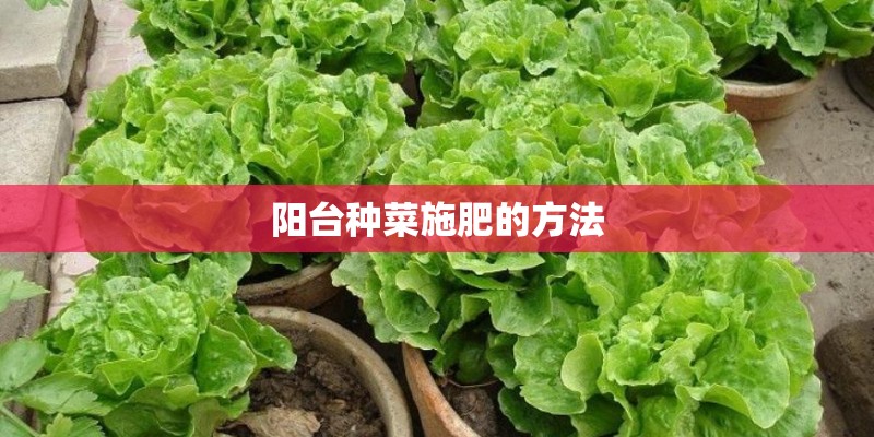 阳台种菜施肥的方法