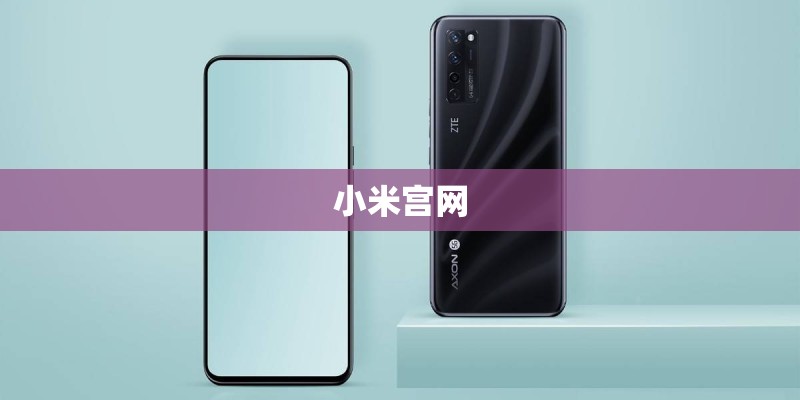 小米宫网 小米宫网