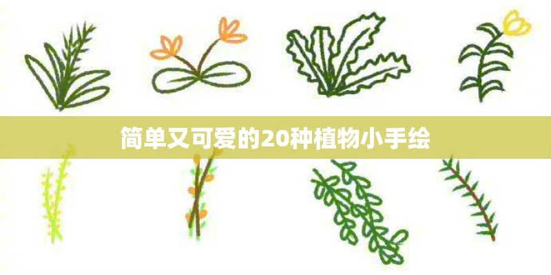 简单又可爱的20种植物小手绘 简单又可爱的20种植物小手绘