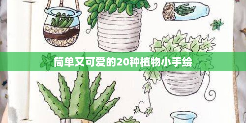 简单又可爱的20种植物小手绘 简单又可爱的20种植物小手绘