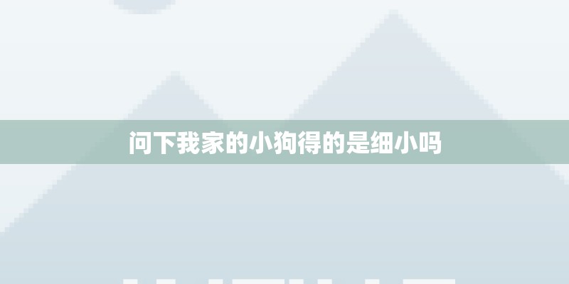 问下我家的小狗得的是细小吗 问下我家的小狗得的是细小吗