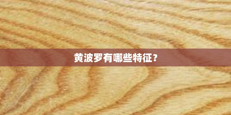 黄波罗有哪些特征？