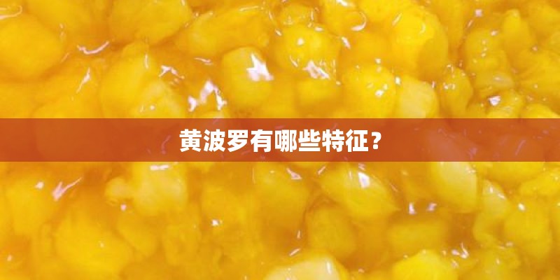 黄波罗有哪些特征？
