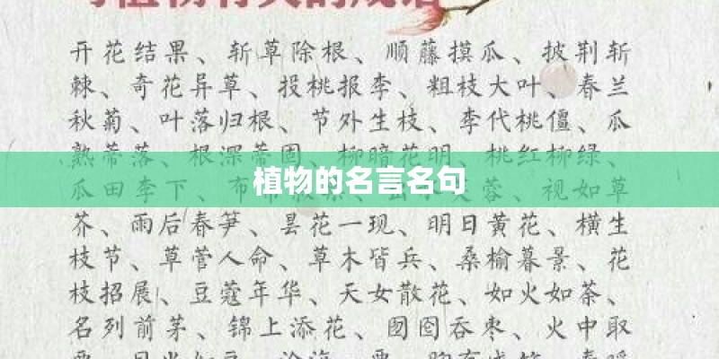 植物的名言名句