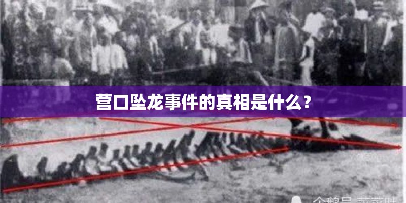营口坠龙事件的真相是什么? 营口坠龙事件的真相是什么?