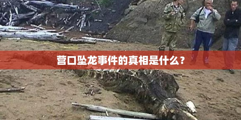 营口坠龙事件的真相是什么? 营口坠龙事件的真相是什么?