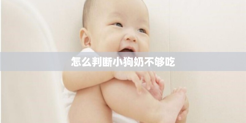 怎么判断小狗奶不够吃 怎么判断小狗奶不够吃