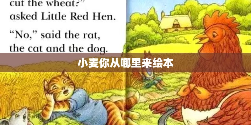 小麦你从哪里来绘本 小麦你从哪里来绘本